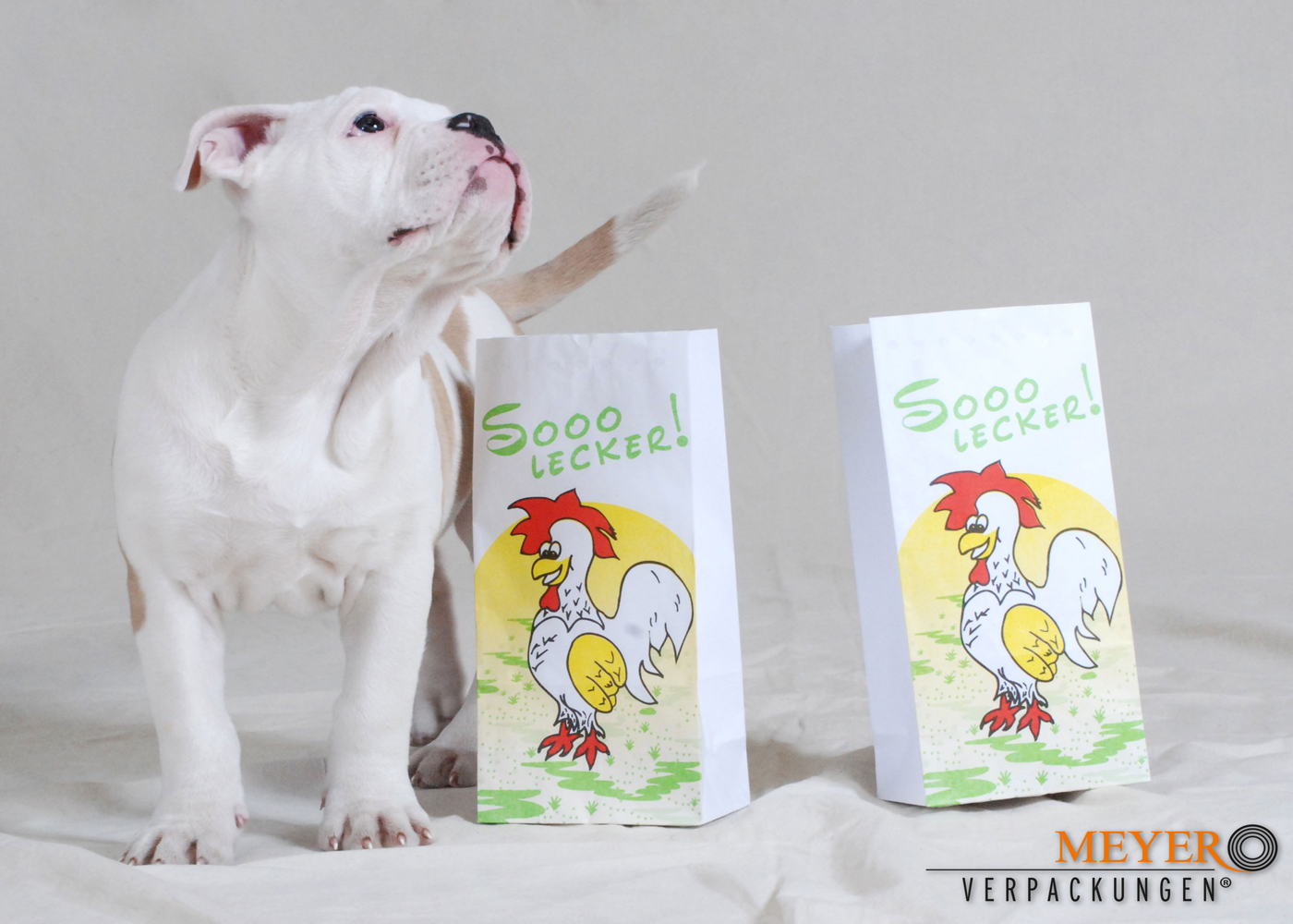 Lebensmittelverpackungen aus Papier