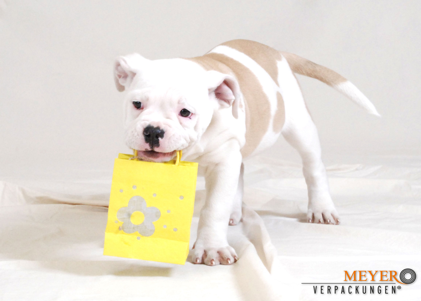 Tüten- und Beutelpapier